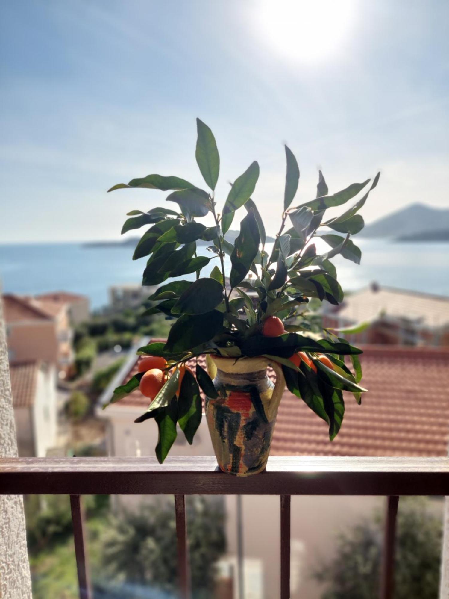 Apartmani Dalex Budva Exterior photo